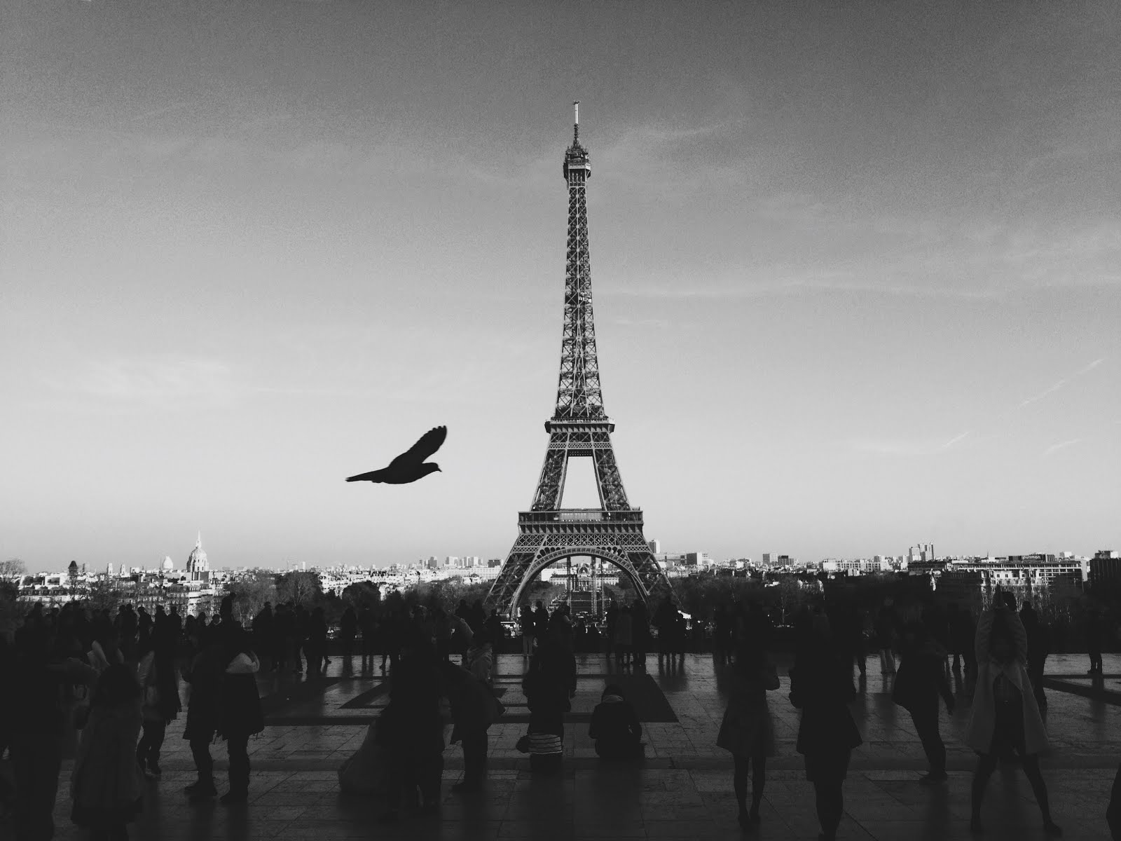 Eiffel Tower BW